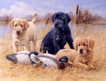 am279D13 動物 犬 Oil Paintings